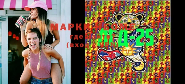 шишки Михайловск