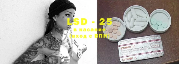 шишки Михайловск