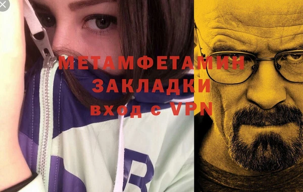 шишки Михайловск