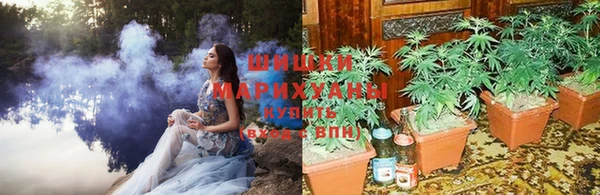 шишки Михайловск
