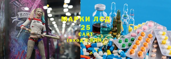 шишки Михайловск