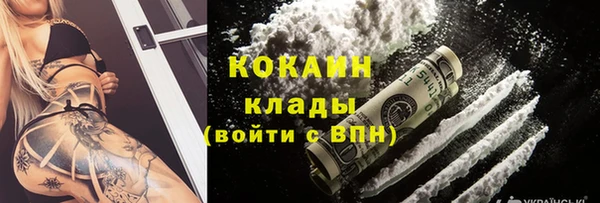 шишки Михайловск
