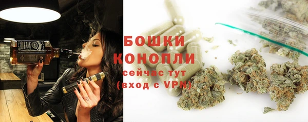 шишки Михайловск