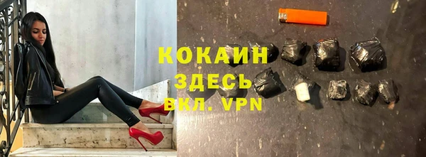 шишки Михайловск