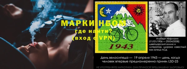 шишки Михайловск