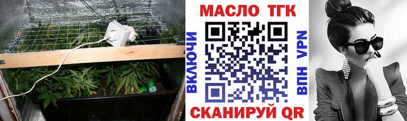 где купить наркоту  Елизаветинская  Дистиллят ТГК гашишное масло 