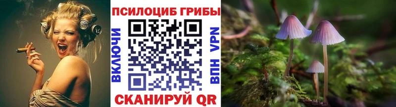 купить наркоту  нарко площадка Telegram  Галлюциногенные грибы GOLDEN TEACHER  Елизаветинская 